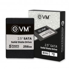 EVM 256GB 3D NAND SATA 2.5 inch Internal SSD Solid State Drive